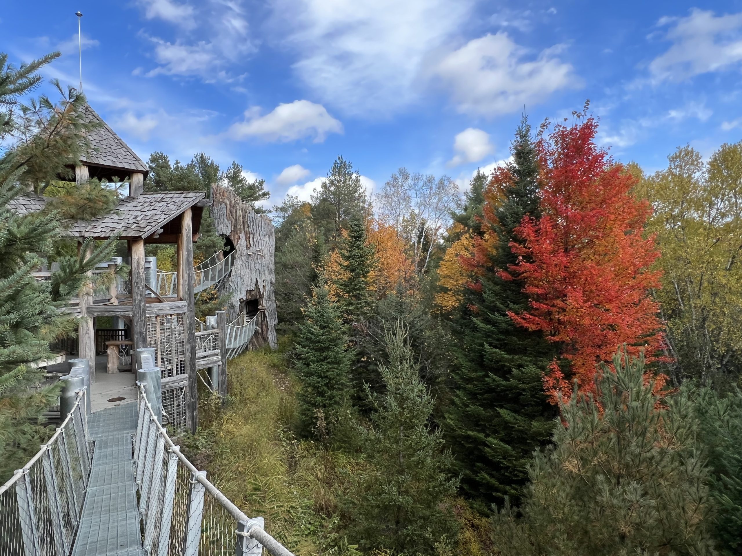 A Walk on the Wild Side – Exploring The Wild Center in the Adirondacks