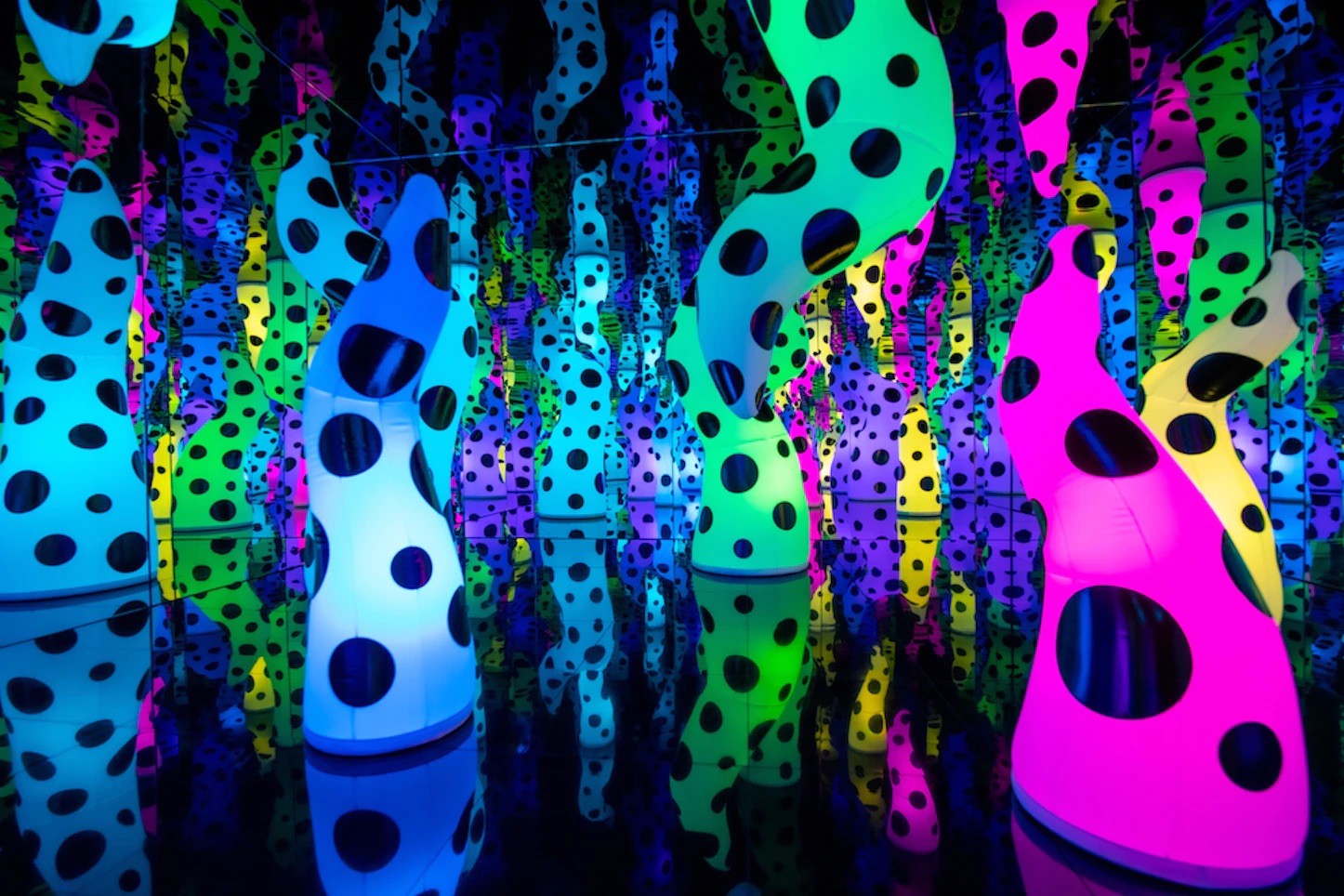 Must See Miami: What to See in Miami with Kids