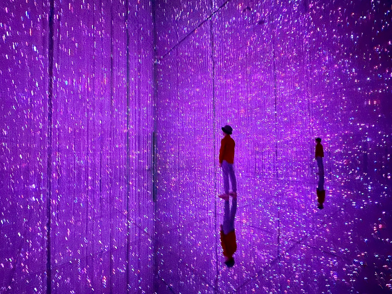 Everything you need to know: Visiting teamLab Planets Tokyo with Kids